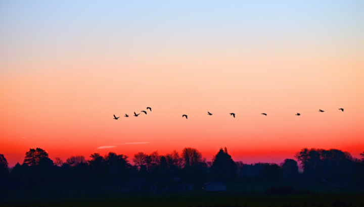 Le jour de la nuit : Promenade nocturne autour de Bessy-sur-Cure
